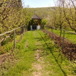 Vand conac+3540mp in Valenii de Munte, Prahova - imaginea 2