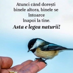 Tânăr caut relație serioasă - imaginea 2