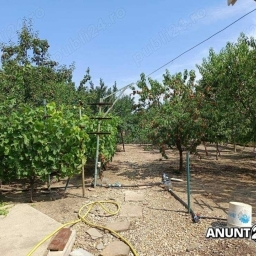 Otopeni central VILA P+1(400mp cu 3 apartamente) si 1000 mp teren - imaginea 5