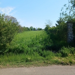 Teren de vanzare 