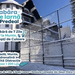 Tabără de Iarnă la Munte, Predeal - imaginea 2