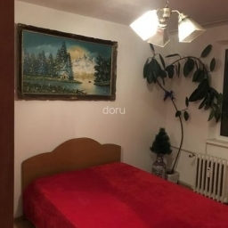 dr taberei Auchan camera intrare separata fara proprietar