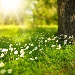 Caut o fata serioasă sa fim împreună 