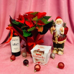 Transformă-ți casa într-un colț de sărbătoare cu OkFlora