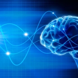 Câștigă 150 LEI în doar 2 ore