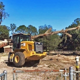 Defrisari/curatari terenuri, cu utilaje specializate