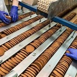 fabrica de biscuiti germania