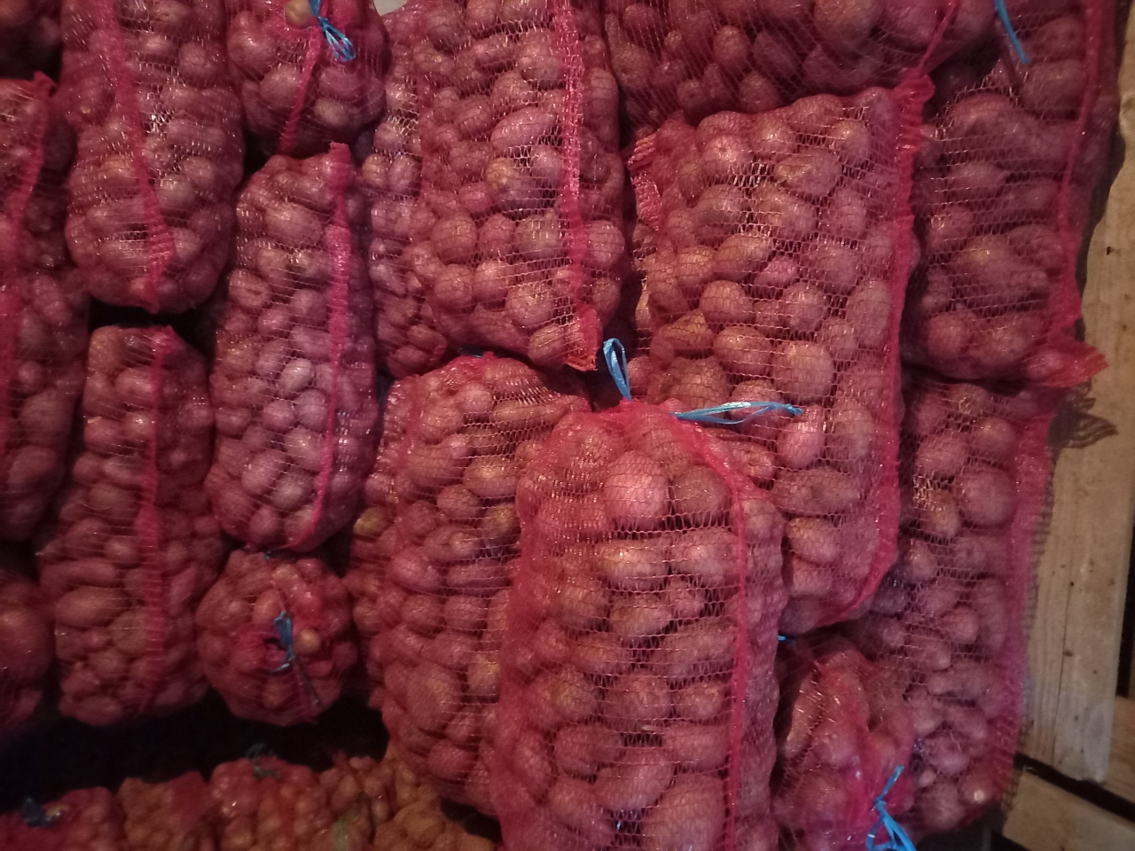 Cartofi consum sortat si ambalat