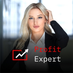 Infiintare firma ridesharing / Bolt, Uber si Blue - imaginea 2