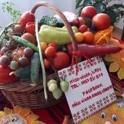 Vand Rasad Rosii Ardei Vinete Castraveti Varza | Rasaduri Legume 2026 - imaginea 3