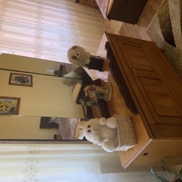 Vând. Dulap și comoda 
