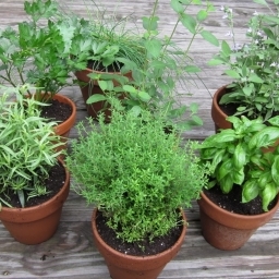 agricultura germania