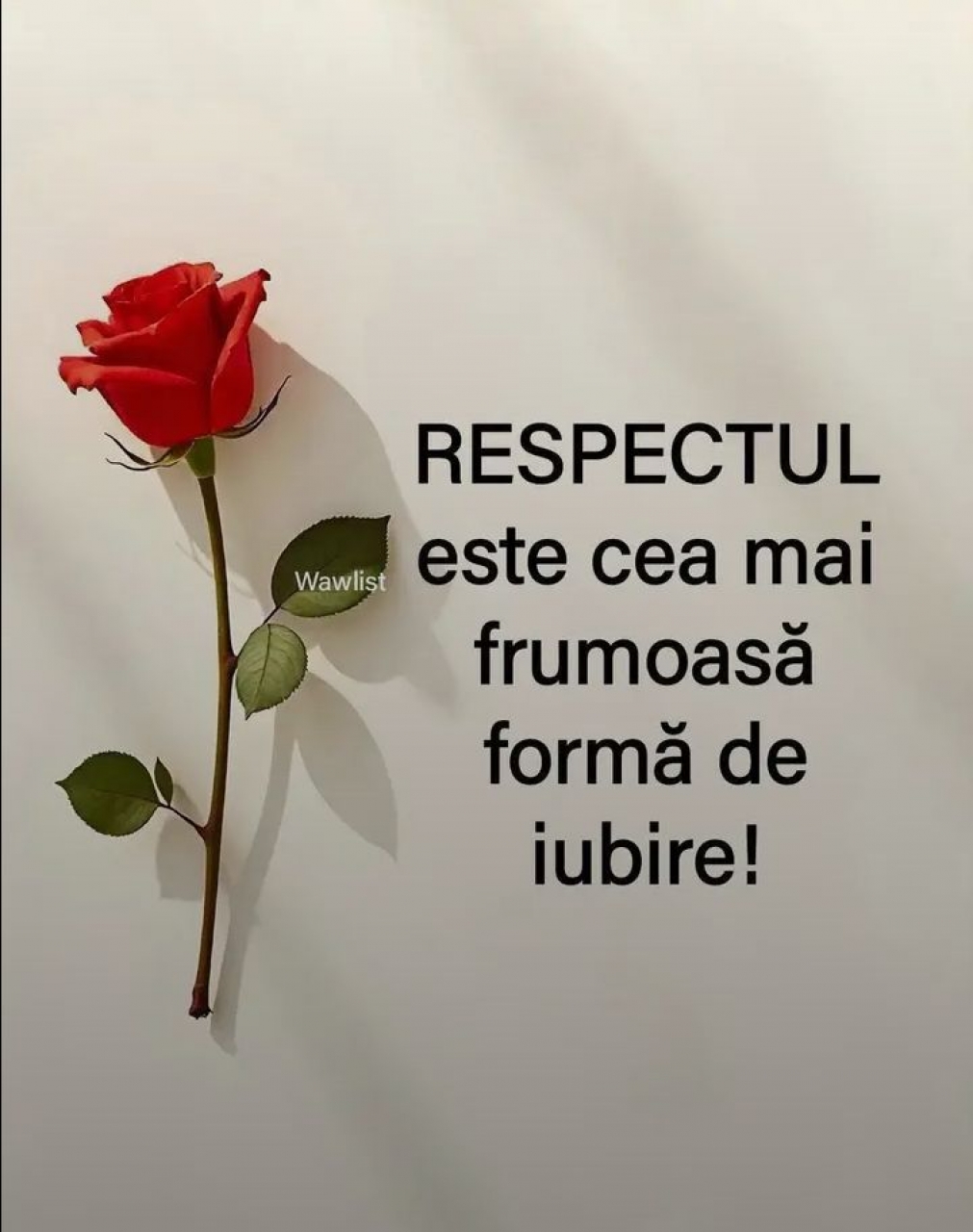 Tânăr 41 ani caut o doamna pentru căsătorie 