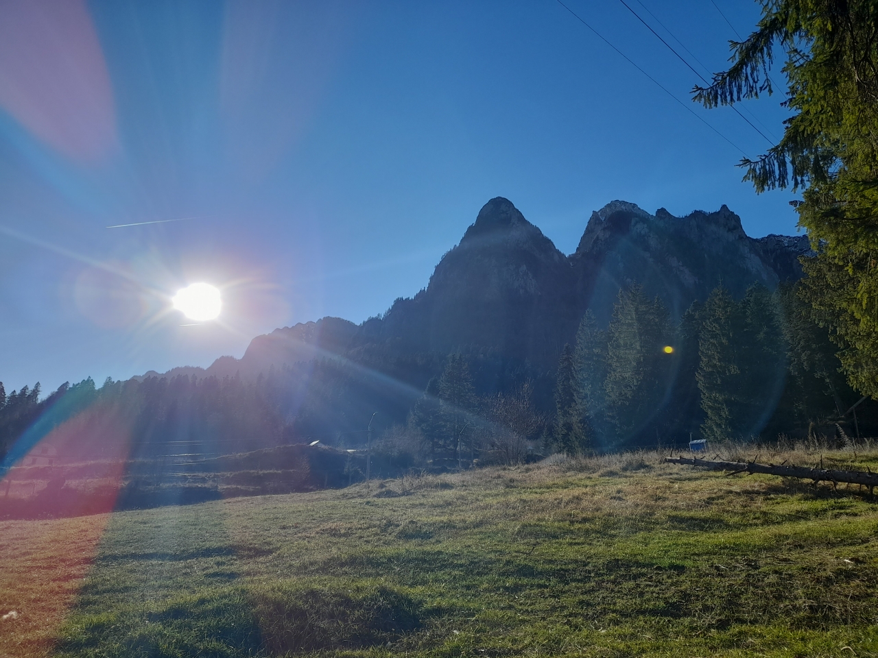 Pentru o relație sunt deschis am 19 ani și sunt un băiat calm