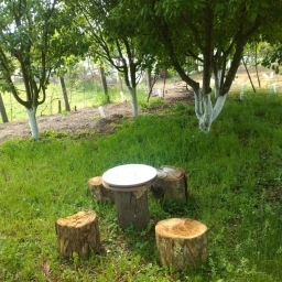 Vanzare cas a Varasti, langa Bucuresti - imaginea 3