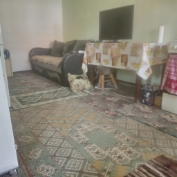 Casa de vacanță la munte în jud Hunedoara  - imaginea 2