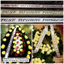 Imprimanta panglica coroane                                           