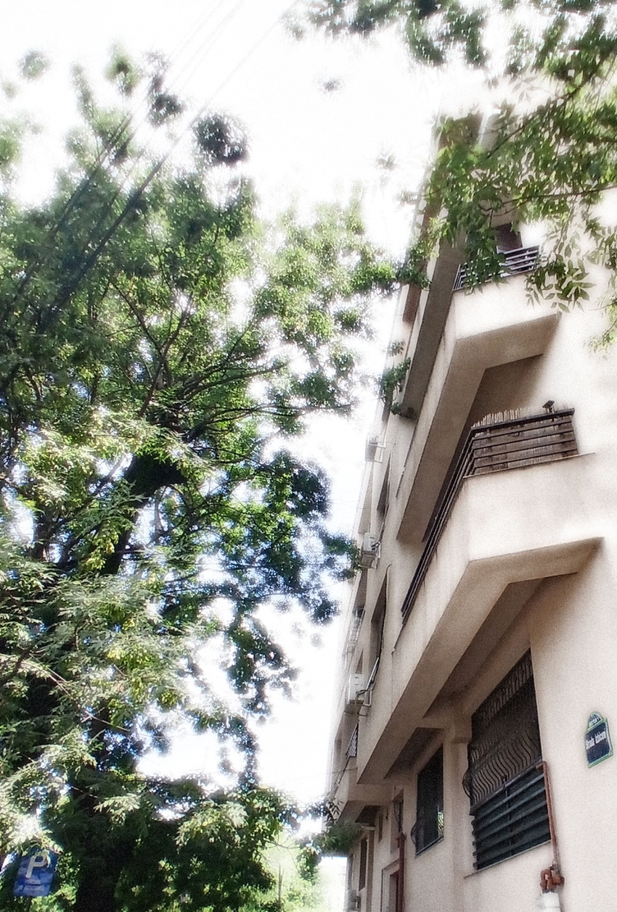 Firma Administrare Imobile - Sector 1 - Bucurestii Noi