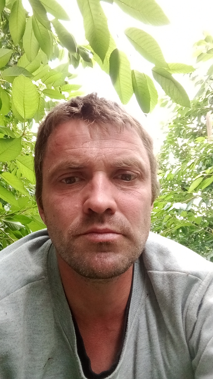 Bună 0799661023